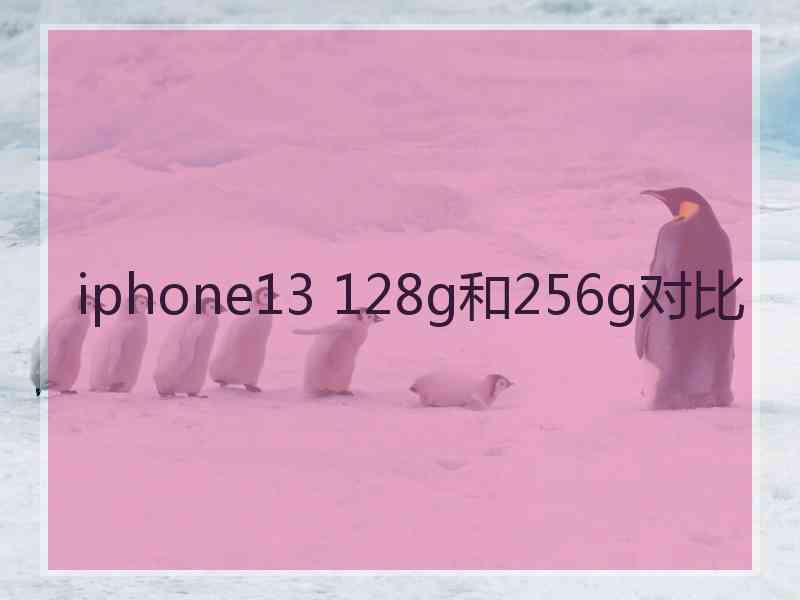 iphone13 128g和256g对比
