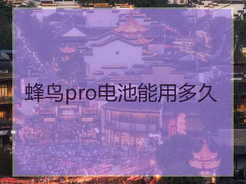蜂鸟pro电池能用多久
