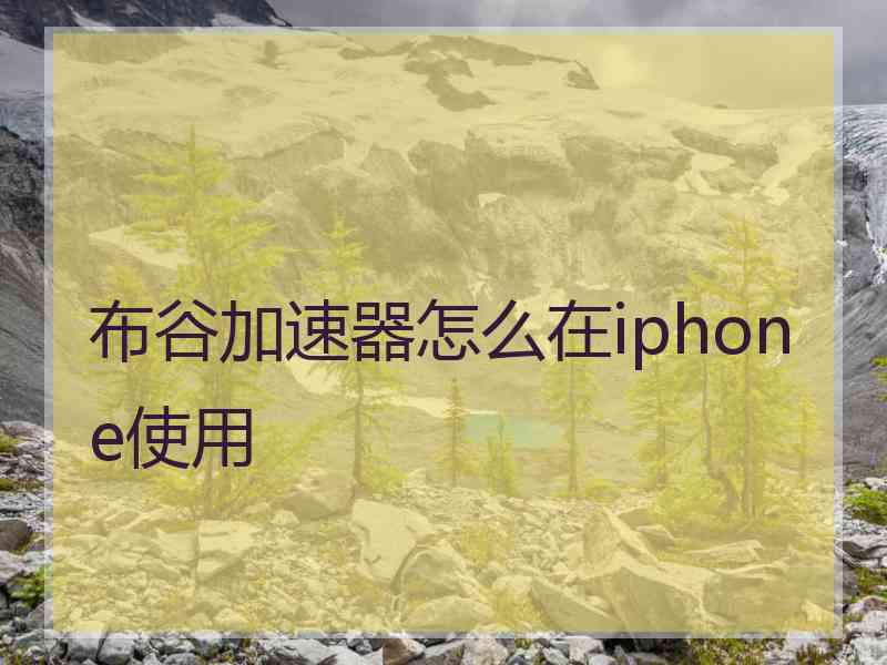 布谷加速器怎么在iphone使用