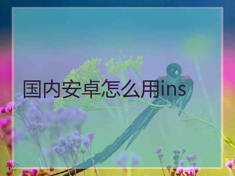 国内安卓怎么用ins