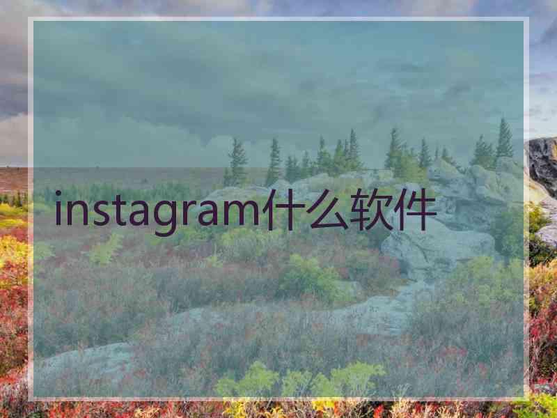 instagram什么软件