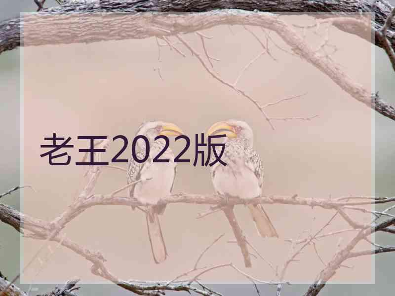 老王2022版