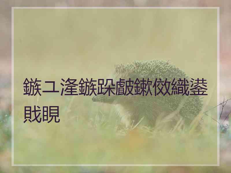 鏃ユ湰鏃跺皻鏉傚織鍙戝睍
