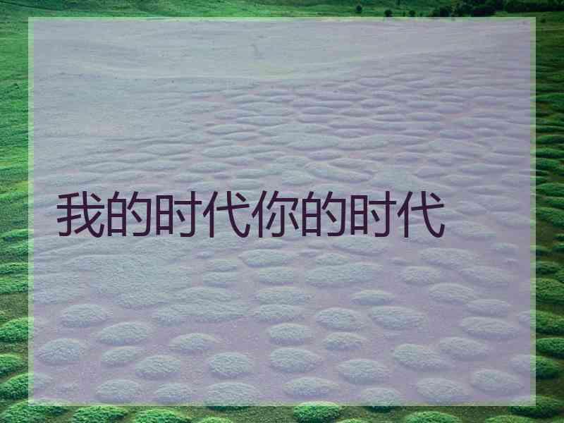 我的时代你的时代