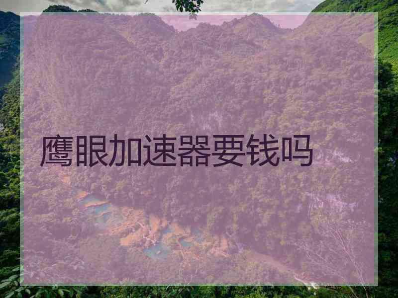 鹰眼加速器要钱吗