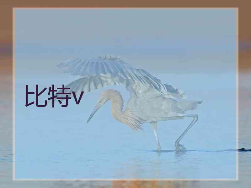 比特v