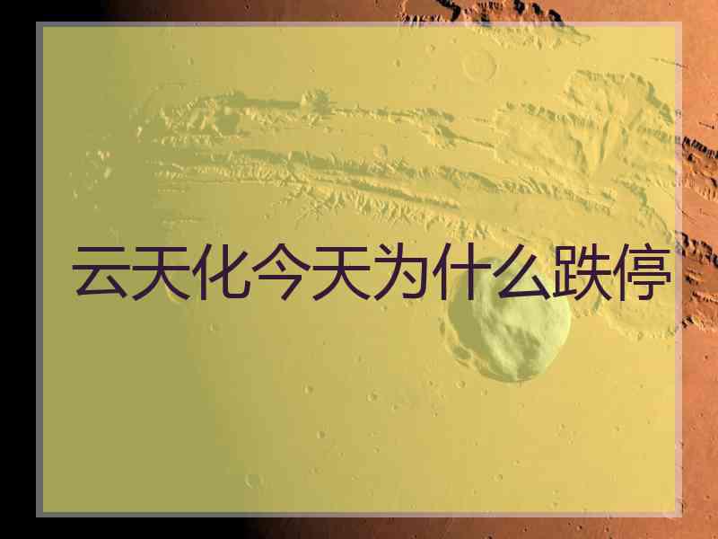 云天化今天为什么跌停