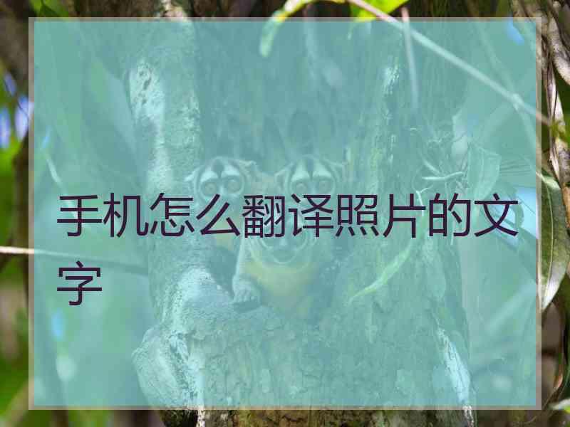 手机怎么翻译照片的文字