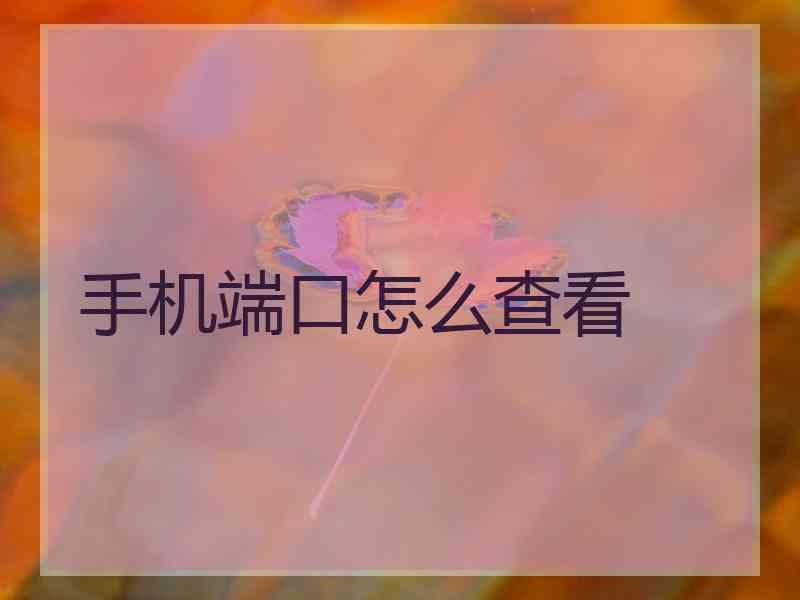 手机端口怎么查看