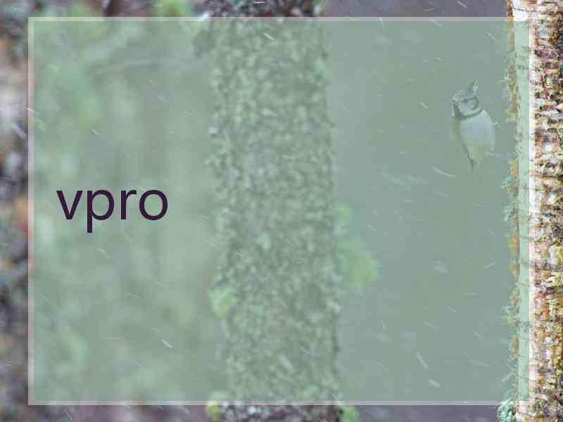 vpro