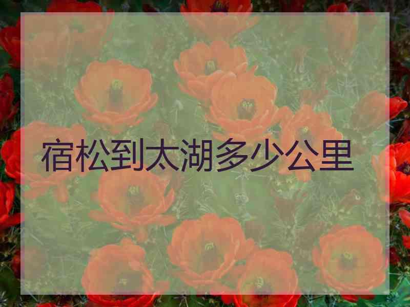 宿松到太湖多少公里
