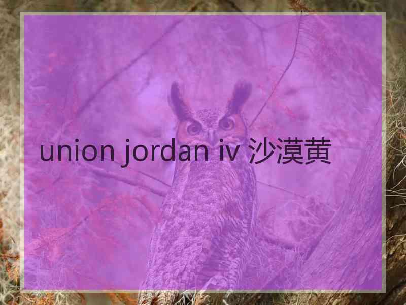 union jordan iv 沙漠黄