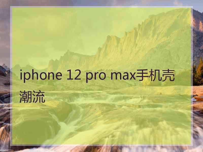iphone 12 pro max手机壳潮流