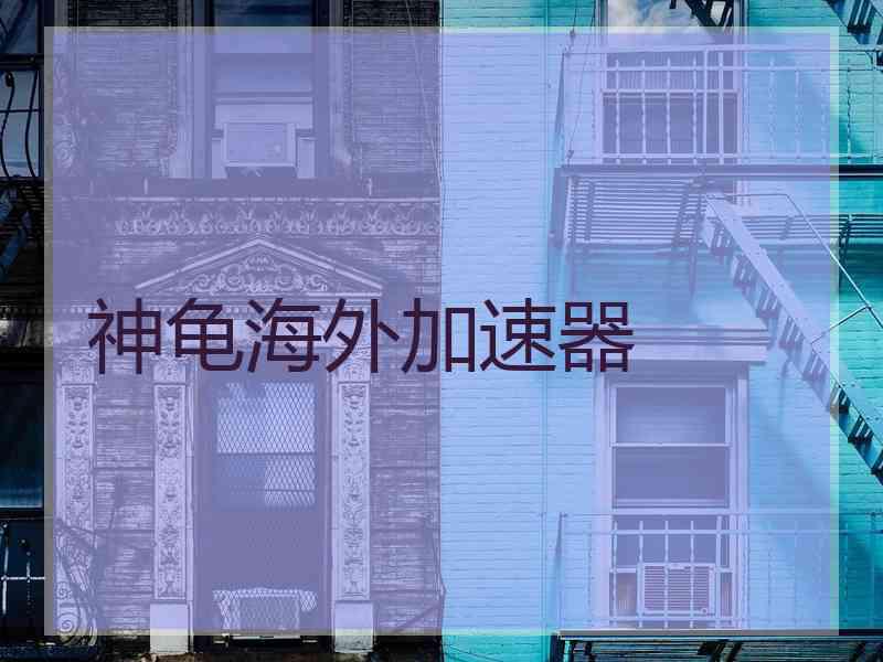 神龟海外加速器