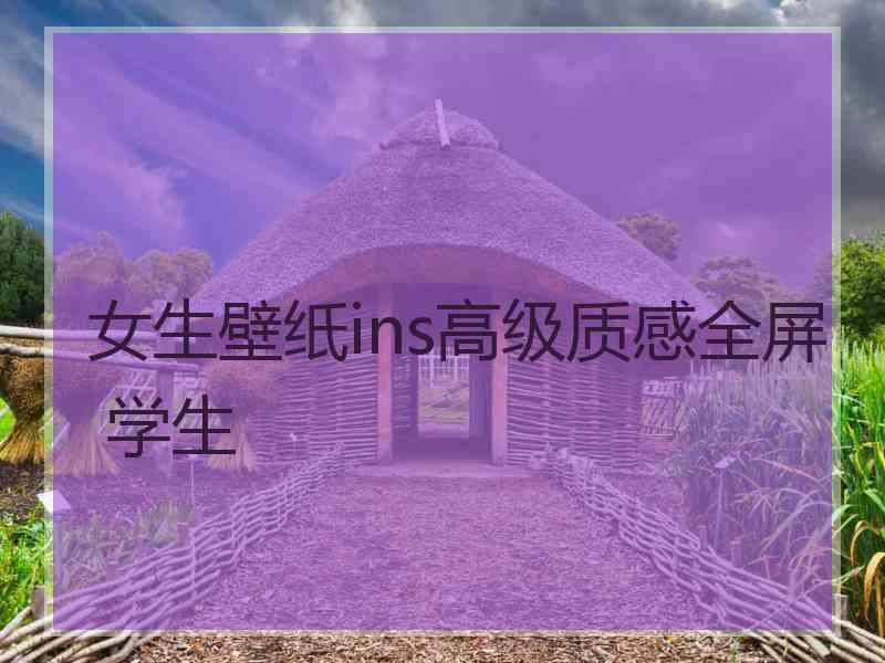 女生壁纸ins高级质感全屏 学生