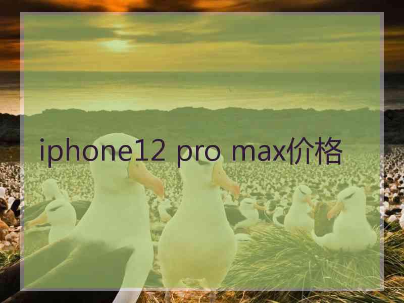 iphone12 pro max价格