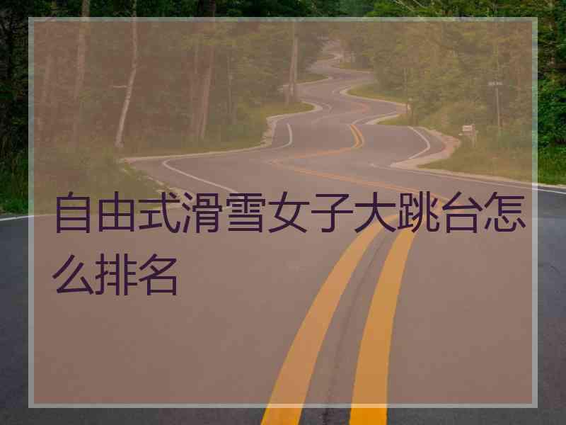 自由式滑雪女子大跳台怎么排名