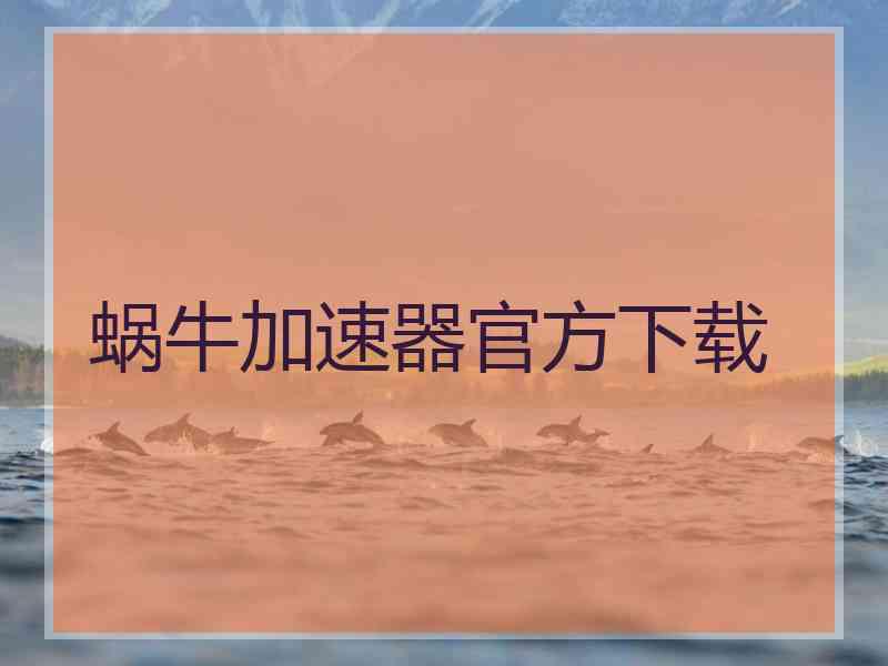 蜗牛加速器官方下载