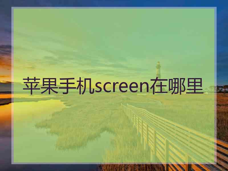苹果手机screen在哪里