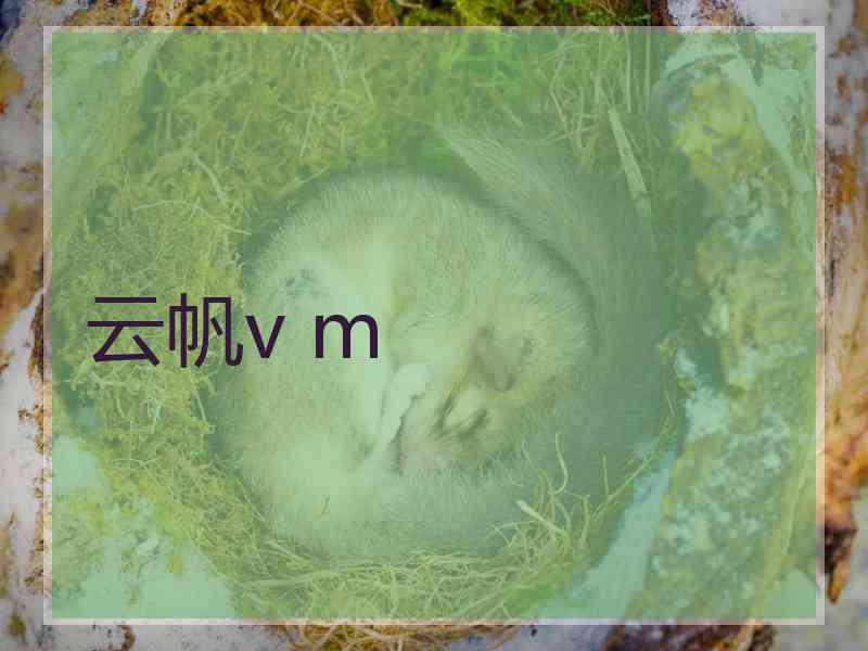 云帆v m