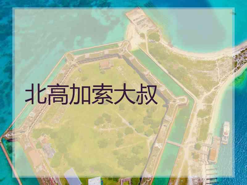 北高加索大叔