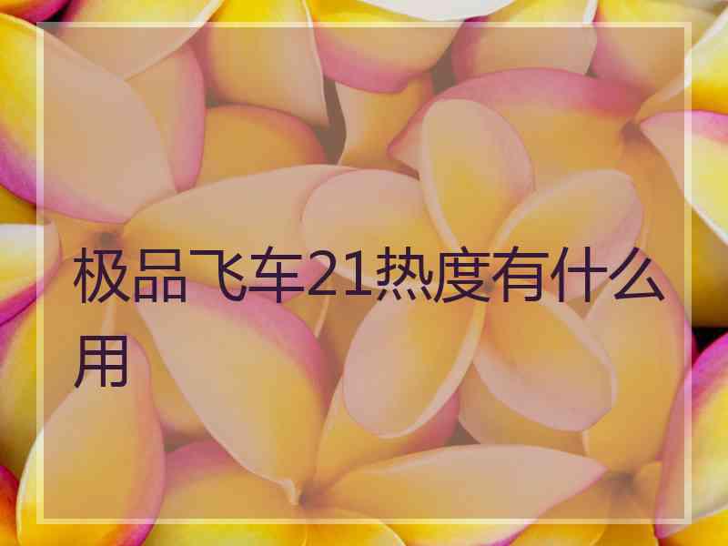 极品飞车21热度有什么用