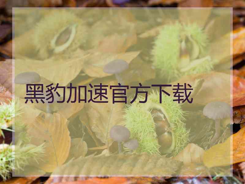 黑豹加速官方下载