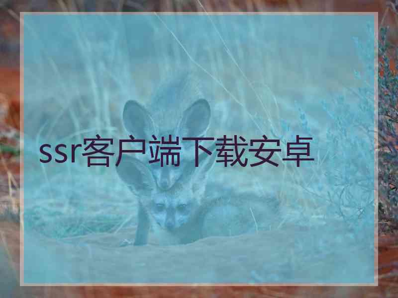 ssr客户端下载安卓