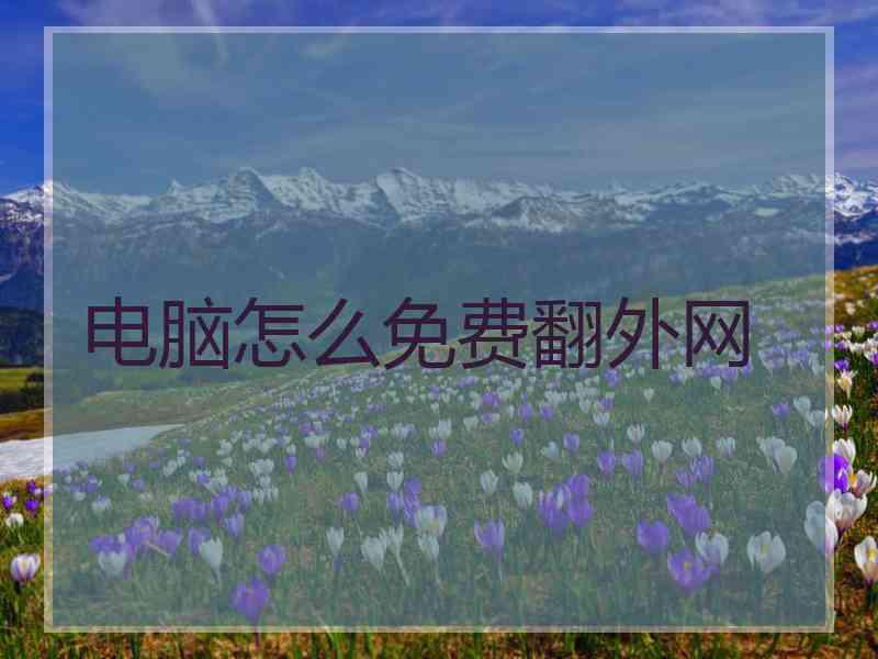 电脑怎么免费翻外网