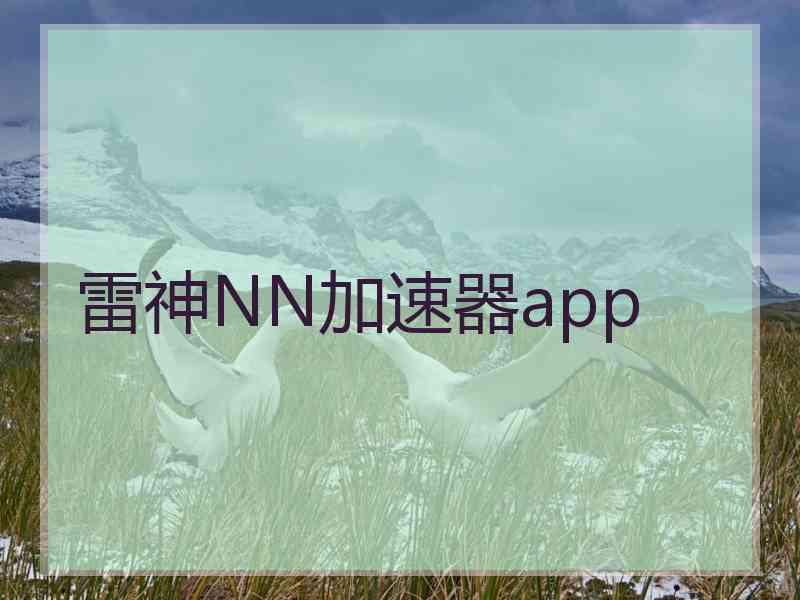 雷神NN加速器app