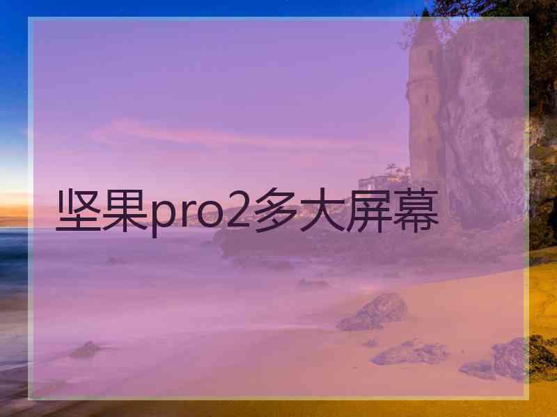 坚果pro2多大屏幕