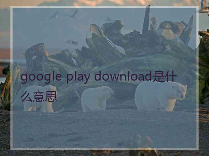 google play download是什么意思