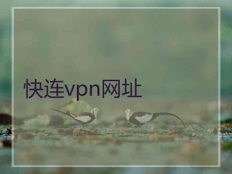 快连vpn网址