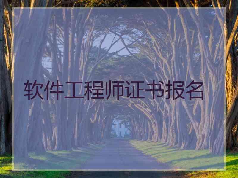 软件工程师证书报名
