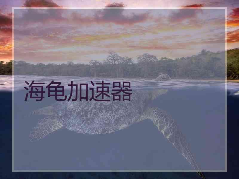 海龟加速器