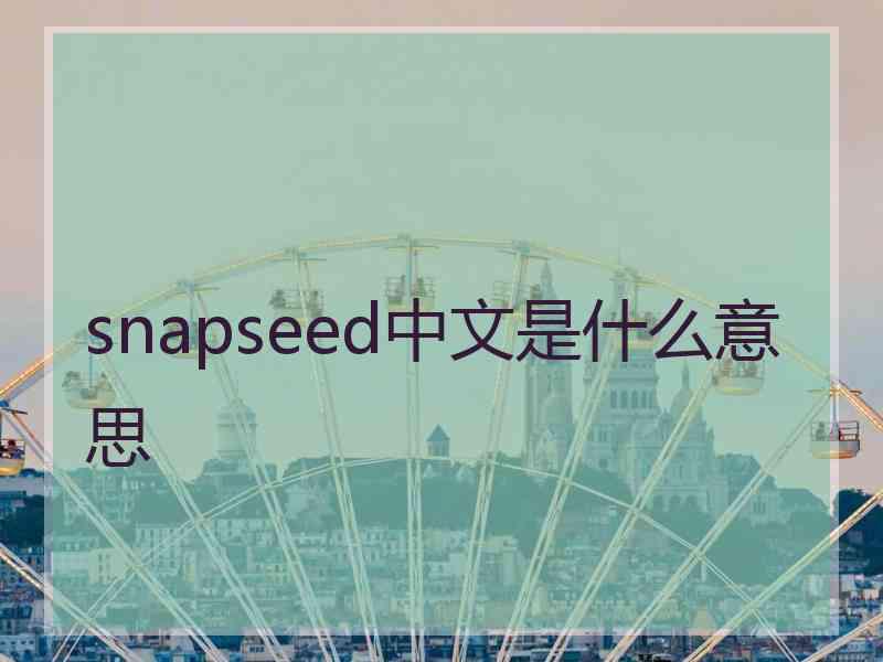 snapseed中文是什么意思
