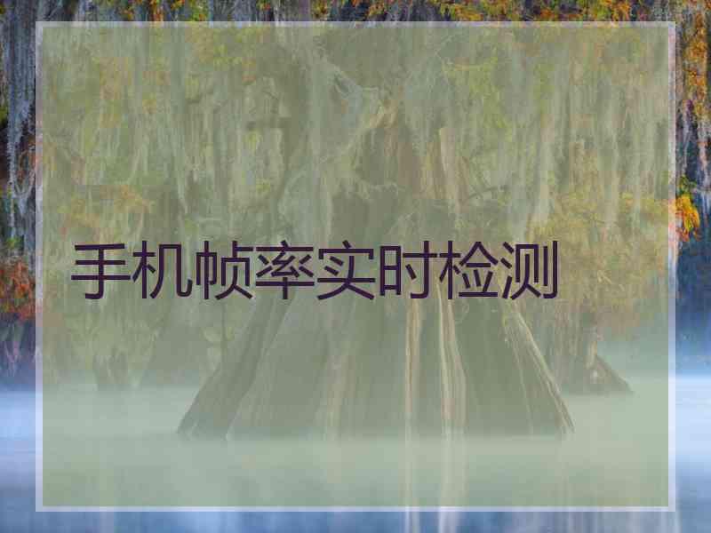 手机帧率实时检测