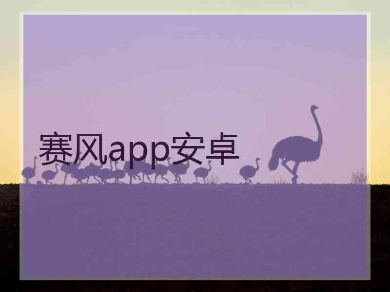 赛风app安卓