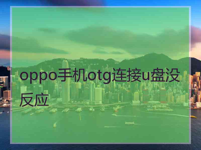 oppo手机otg连接u盘没反应