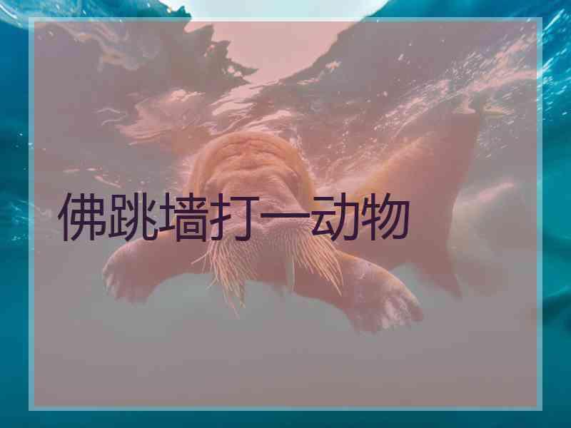 佛跳墙打一动物