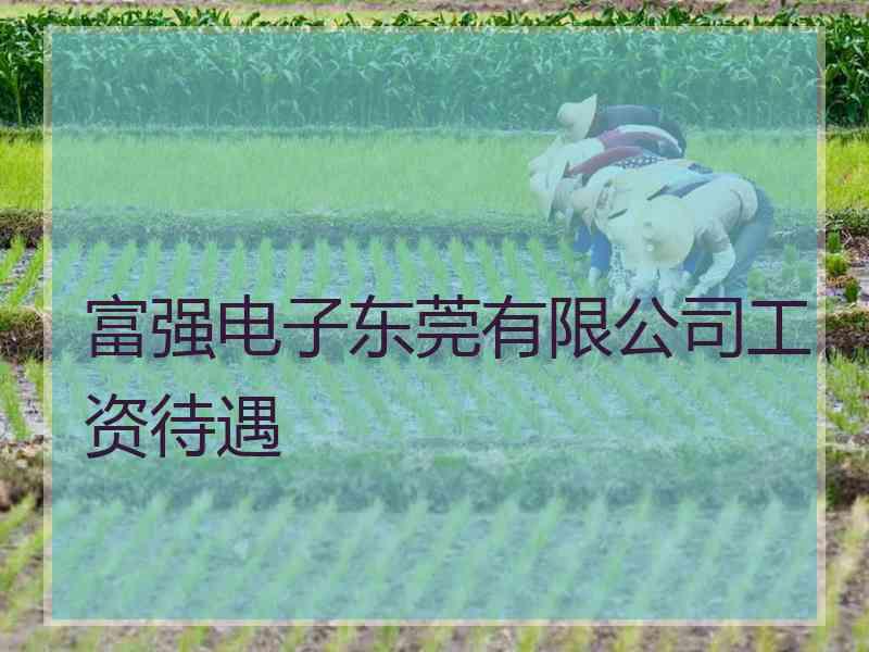 富强电子东莞有限公司工资待遇