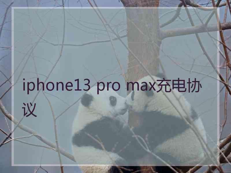 iphone13 pro max充电协议