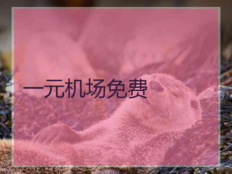 一元机场免费