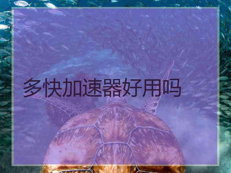 多快加速器好用吗
