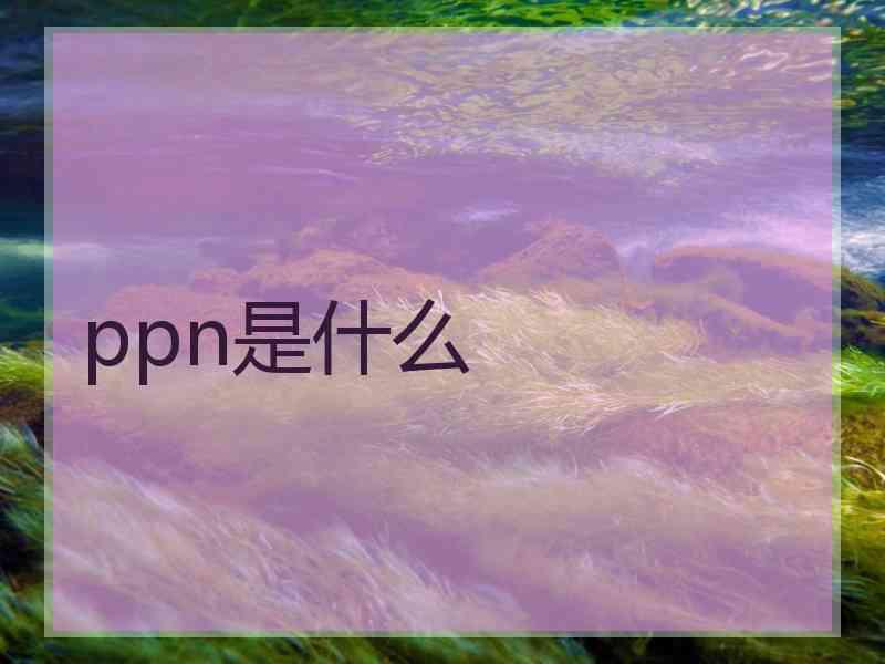 ppn是什么