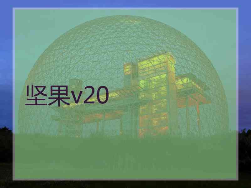 坚果v20
