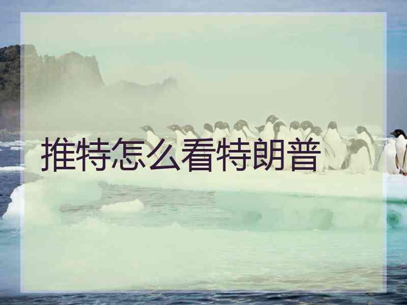 推特怎么看特朗普