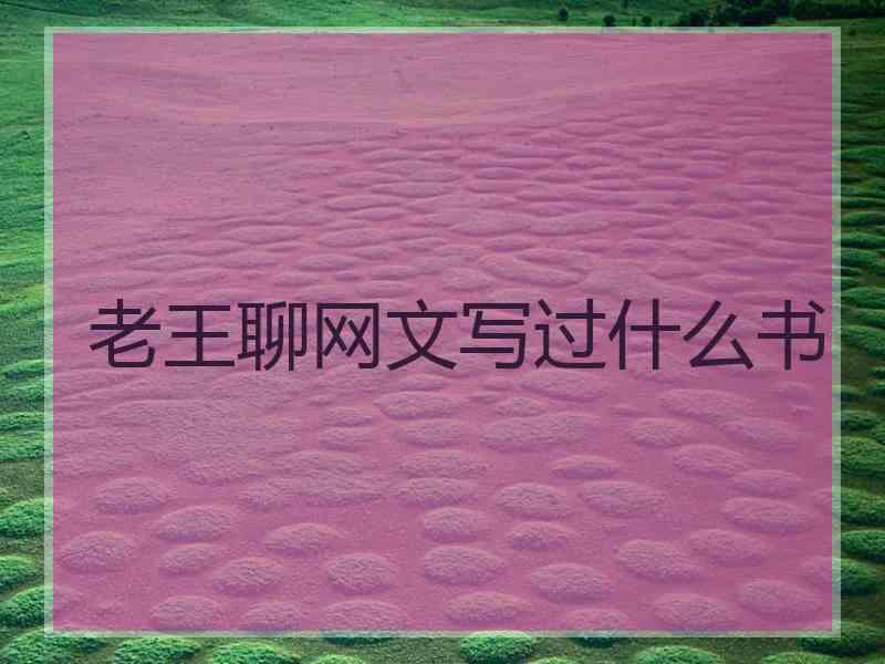 老王聊网文写过什么书