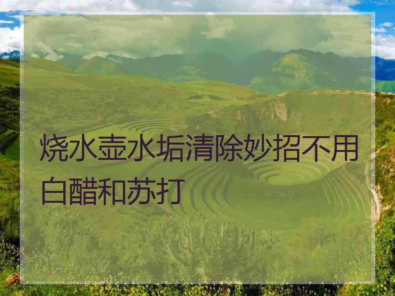 烧水壶水垢清除妙招不用白醋和苏打