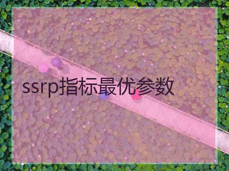 ssrp指标最优参数